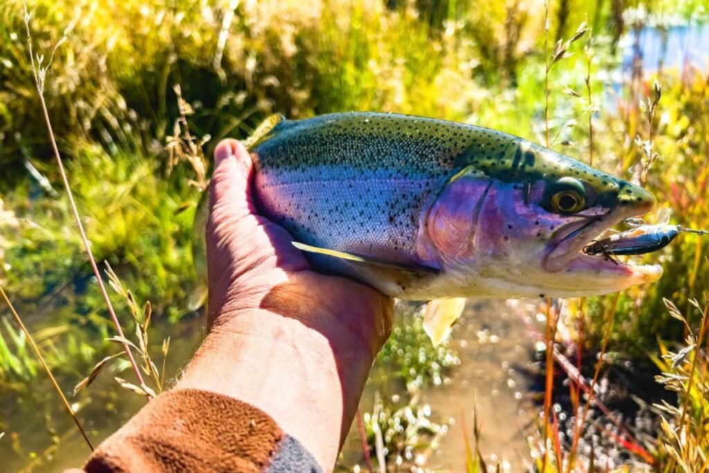 Norsk fiskeopplevelse